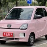 Dongfeng Scenery MINIEV