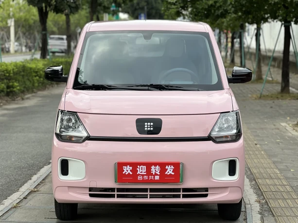 Dongfeng Scenery MINIEV