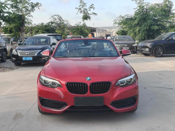 BMW 2 Series (Imported)