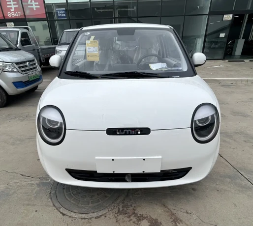 Changan Lumin