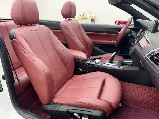 BMW 2 Series (Imported)