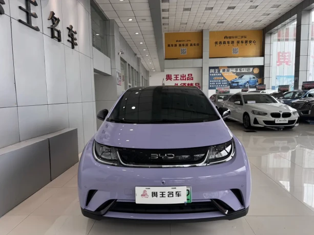 BYD Dolphin