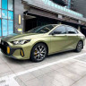 GAC Shadow Leopard