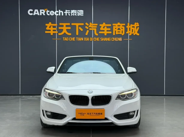 BMW 2 Series (Imported)