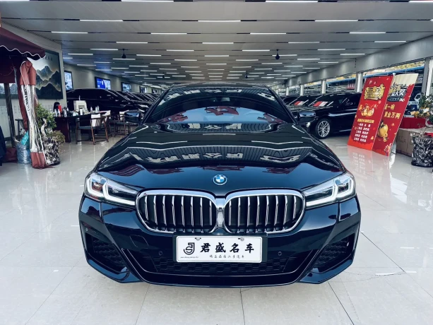 BMW 5 Series PHEV