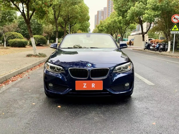 BMW 2 Series (Imported)