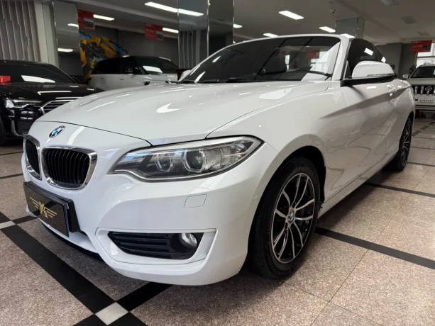 BMW 2 Series (Imported)