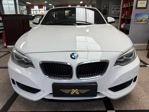 BMW 2 Series (Imported)