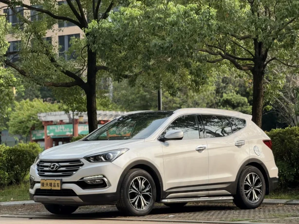 Hyundai Shengda