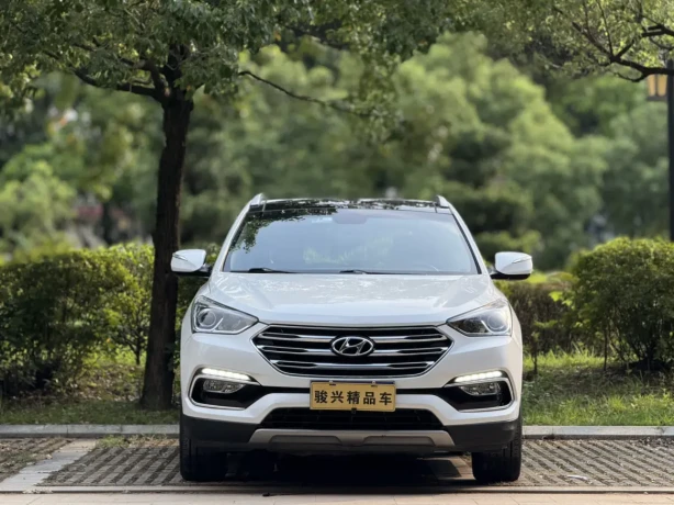 Hyundai Shengda