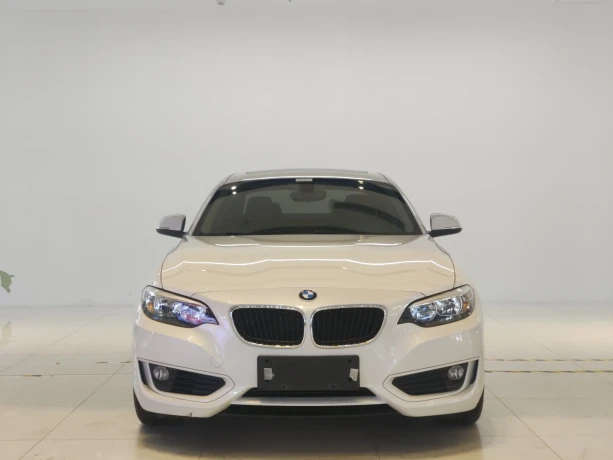 BMW 2 Series (Imported)