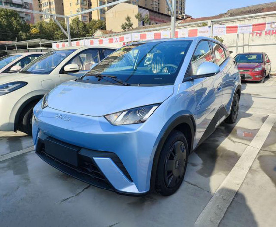 BYD Seagull