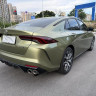 GAC Shadow Leopard