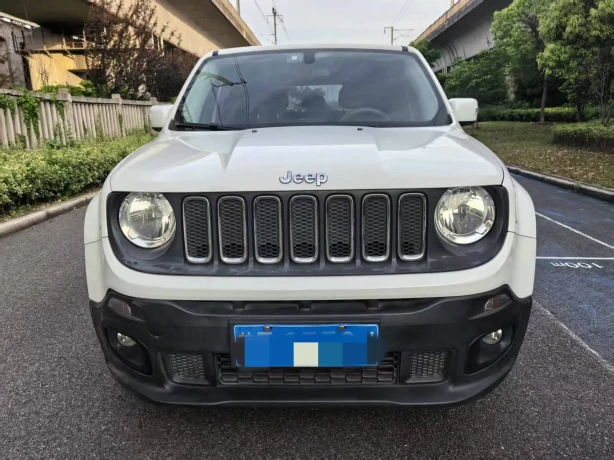 Jeep Freeman