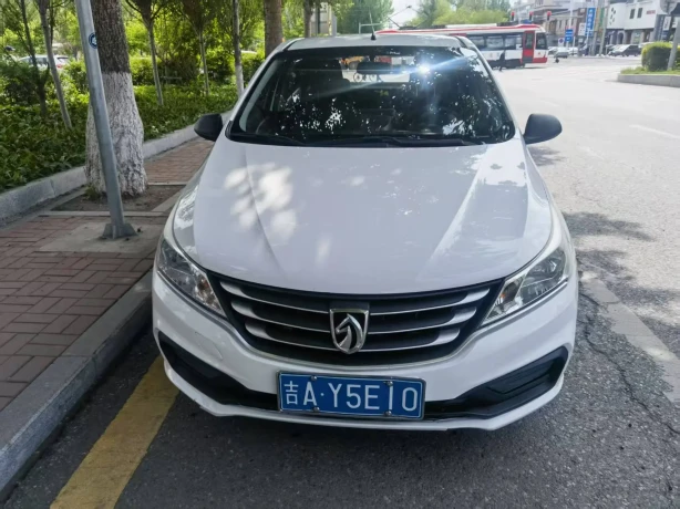 Baojun 310