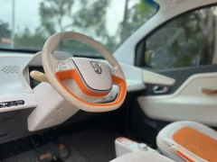 Baojun E100