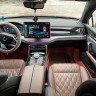 BYD Tang DM