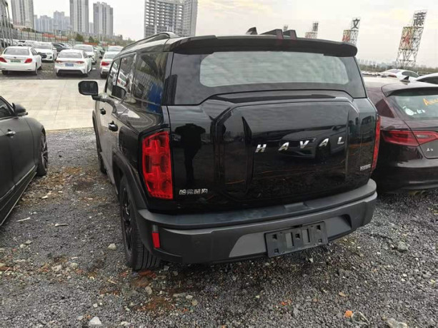 Haval cool dog