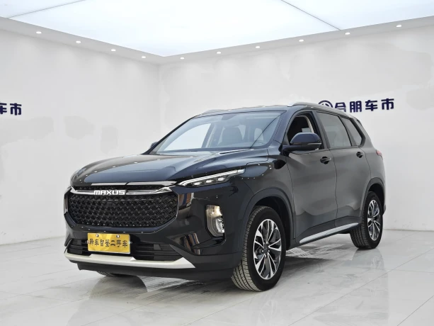 Maxus D60