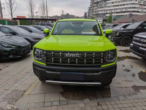 Haval cool dog