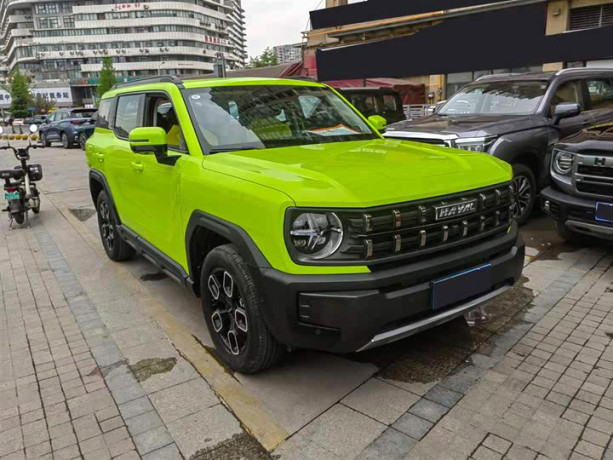 Haval cool dog
