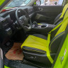 Haval cool dog