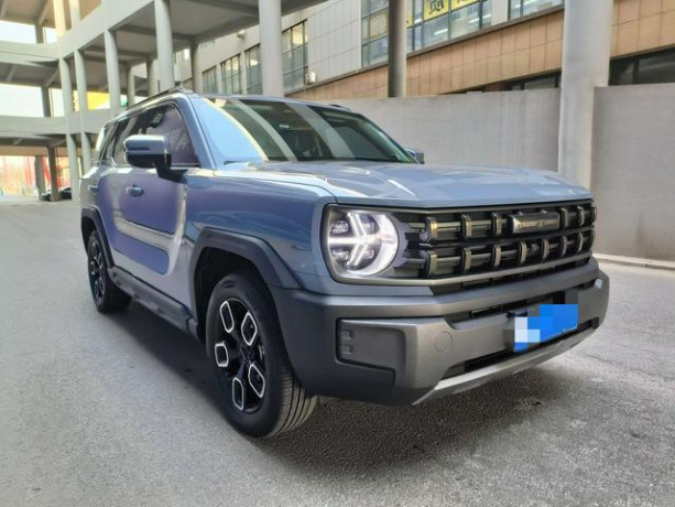 Haval cool dog