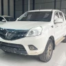 Foton Pioneer