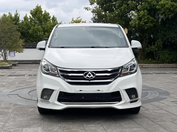 Maxus G10