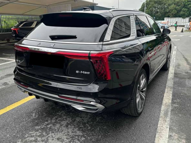 Hongqi E-HS9