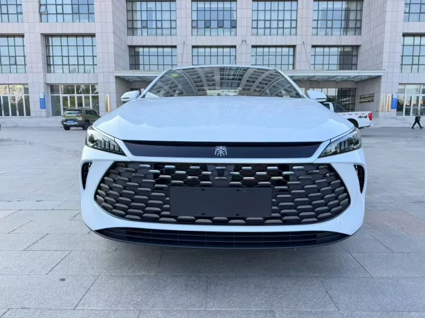 BYD Qin PLUS DM