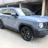 Haval cool dog