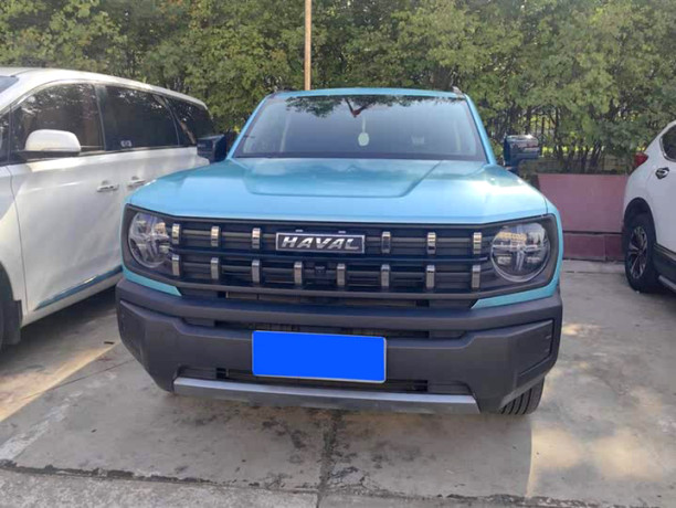 Haval cool dog