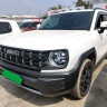 Haval cool dog