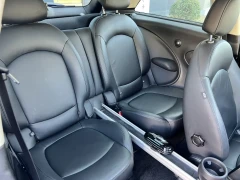 MINI PACEMAN