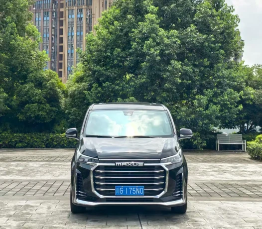 Maxus G20