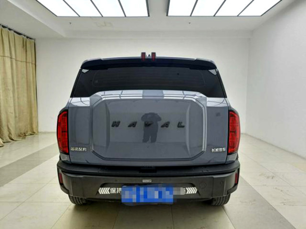 Haval cool dog