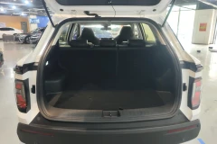 Baojun RS-3