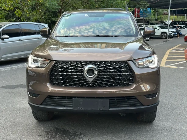 Great Wall Gun