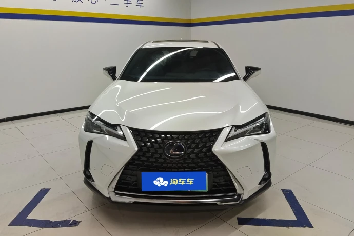 Lexus UX EV